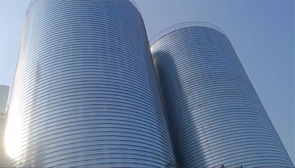 荔城2座混凝土高架卷板仓